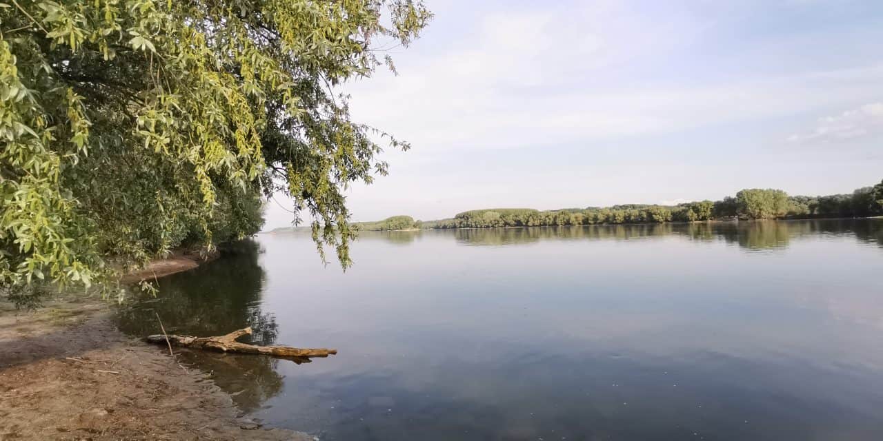 Ниски водостаји на рекама услед високих температура и недостатка падавина