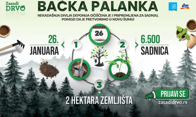 Akcija „Zasadi drvo“ u Bačkoj Palanci odložena za kraj februara