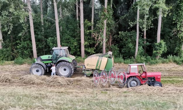 Raspisan konkurs za podršku mladima u selima vredan 200 miliona dinara