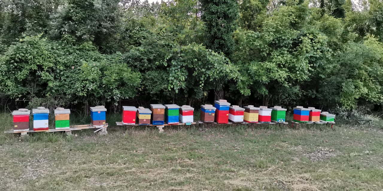 Dva konkursa namenjena pčelarima otvorena do 7. aprila