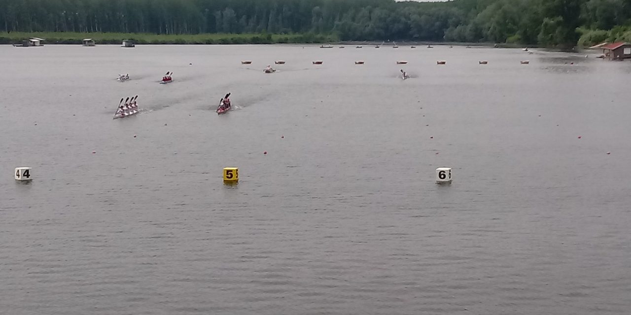 Mladi kajakaši odmeravaju snage u drugom kolu Mini kajak, Pionirske i Lige Olimpijskih nada u subotu  na Tikvari