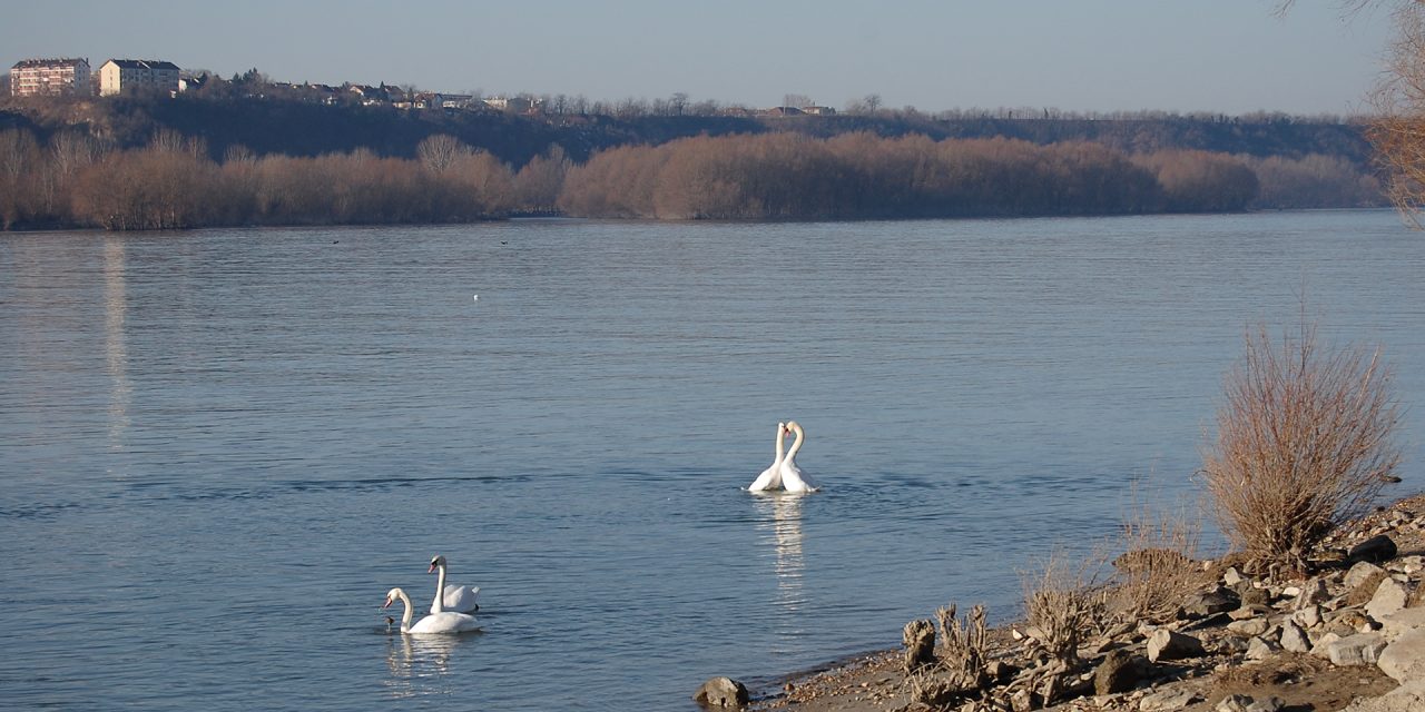 Danas se obeležava Međunarodni dan Dunava