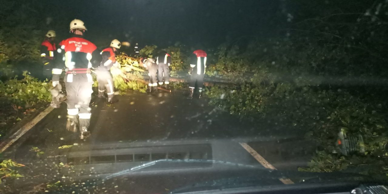 Veliki broj vatrogasaca  i dobrovoljnih društava pomaže u otklanjanju posledica nevremena u Bačkoj Palanci