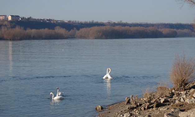 Do 19. jula visoke temperature, na snazi crveni meteo-alarm