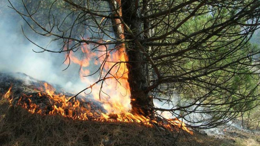 MUP upozorava na rizik od požara zbog visokih temperatura