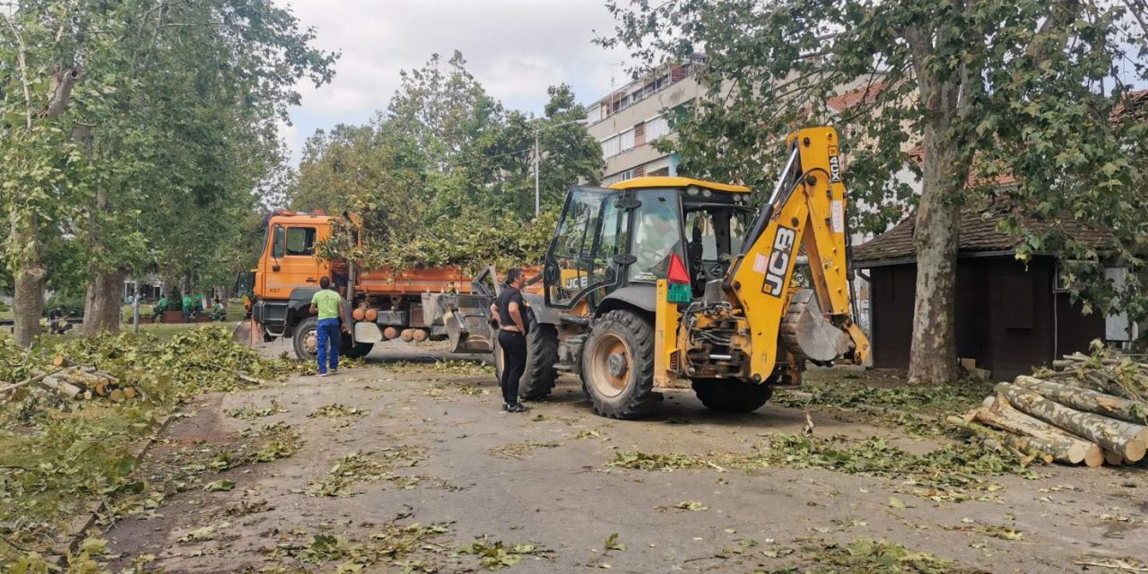 Sa ulica u opštini Bačka Palanka uklonjeno oko 1000 prikolica drveća i grana polomljenih u olujama 19. i 21. jula