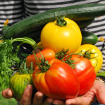 Neka bašta komšije bude vaša zdrava opcija: Podrška lokalnoj kupovini povrća