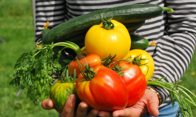 Neka bašta komšije bude vaša zdrava opcija: Podrška lokalnoj kupovini povrća