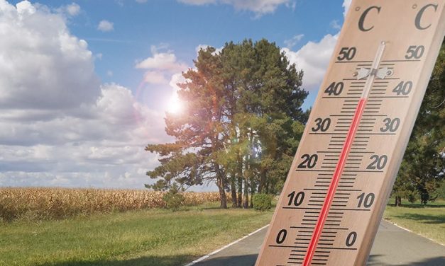 RHMZ: Period visokih temperatura trajaće do utorka 29. avgusta