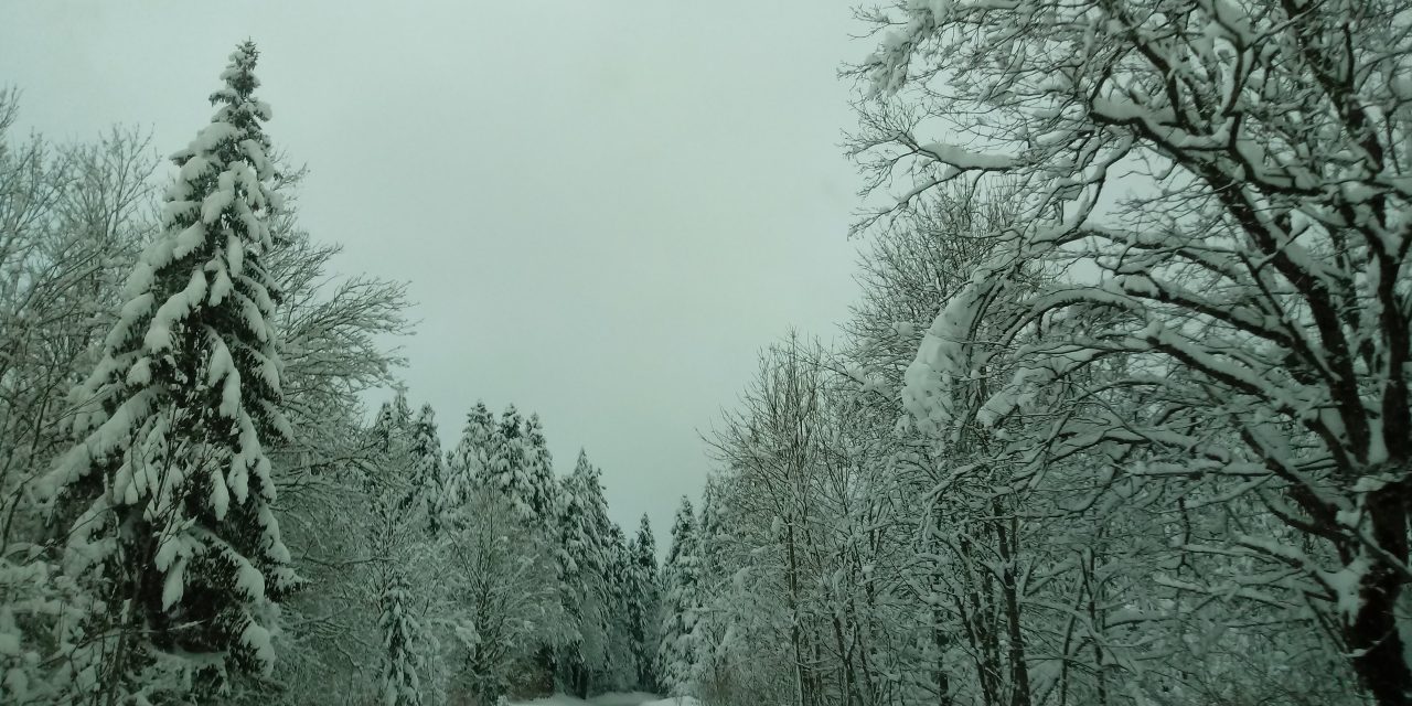 Danas hladno ali sunčano, temperatura ispod nule