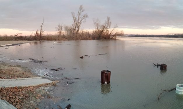 Vodostaj Dunava u blagom padu