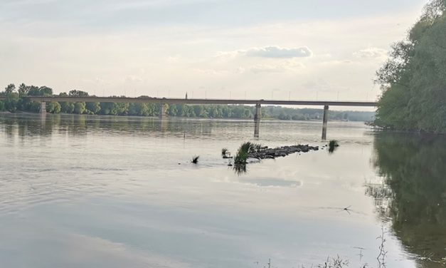 Brod udario u most kod Bačke Palanke, potonula barža natovarena veštačkim đubrivom