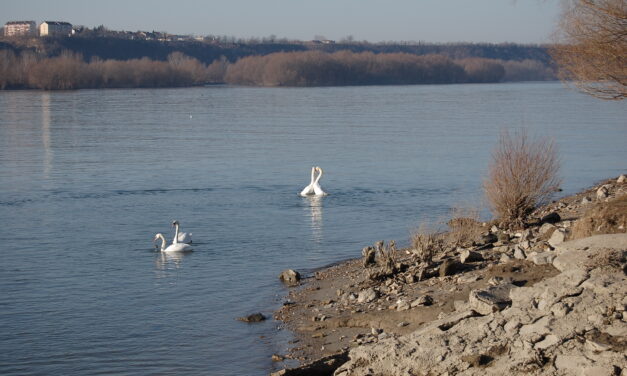 Danas pretežno sunčano, najviša dnevna temperatura do 28 stepeni