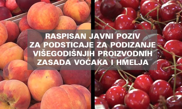 Raspisan javni poziv za podsticaje za podizanje višegodišnjih proizvodnih zasada voćaka i hmelja