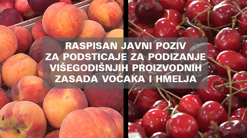 Raspisan javni poziv za podsticaje za podizanje višegodišnjih proizvodnih zasada voćaka i hmelja