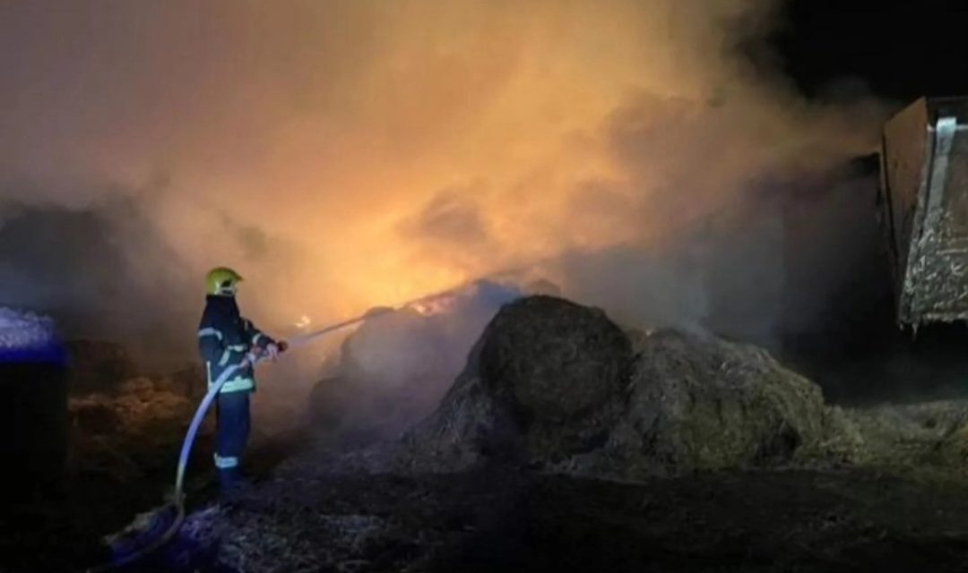 Požar u Čelarevu, izgorelo preko 300 bala sena