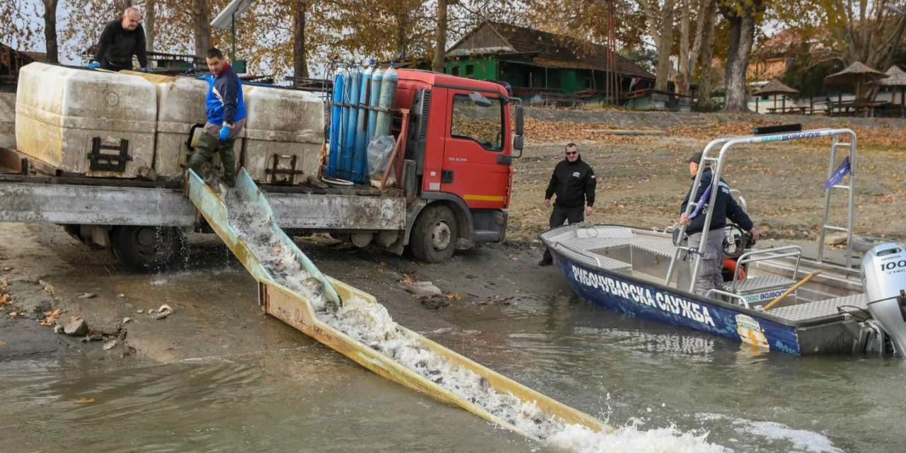 Ribolovne vode poribljene sa preko 17 tona riblje mlađi